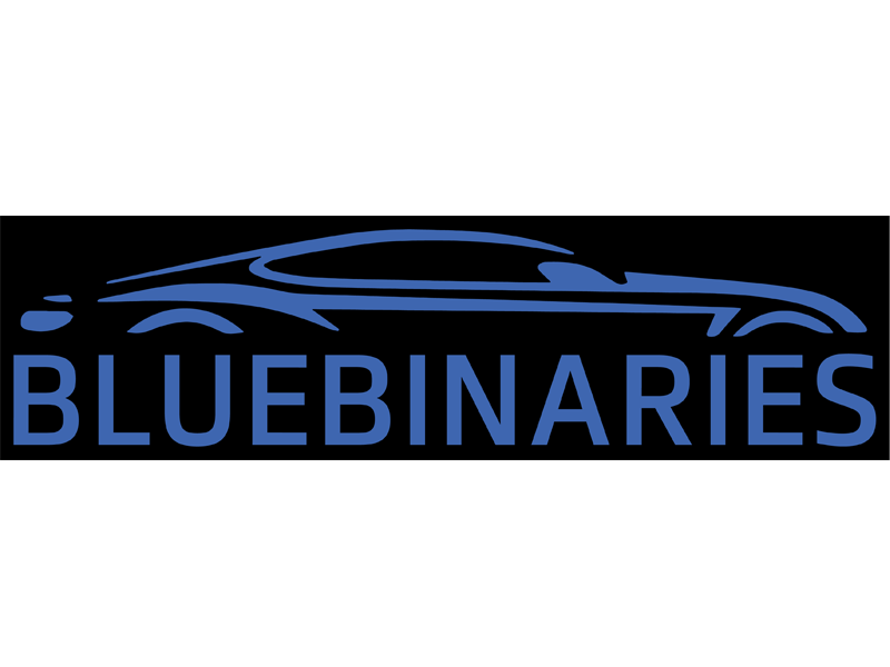 BlueBinaries logo